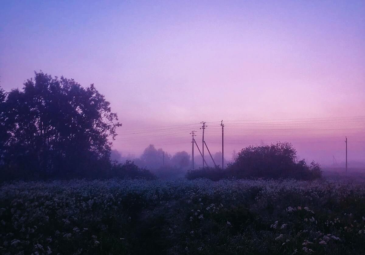 体育娱乐-官方：若昂·佩德罗对利兹联的挑射当选切尔西2月最佳进球